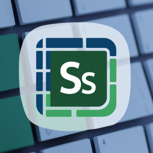 SpreadsheetSuccess profile picture