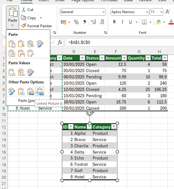 Excel paste as picture option in the Home tab