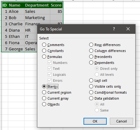 Excel Go To Special blanks option selected